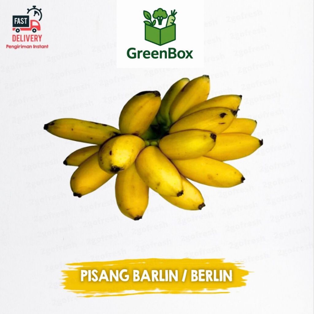 

Buah Pisang Barlin/ Berlin Mini Fresh - Sayur Sayuran & Buah Buahan