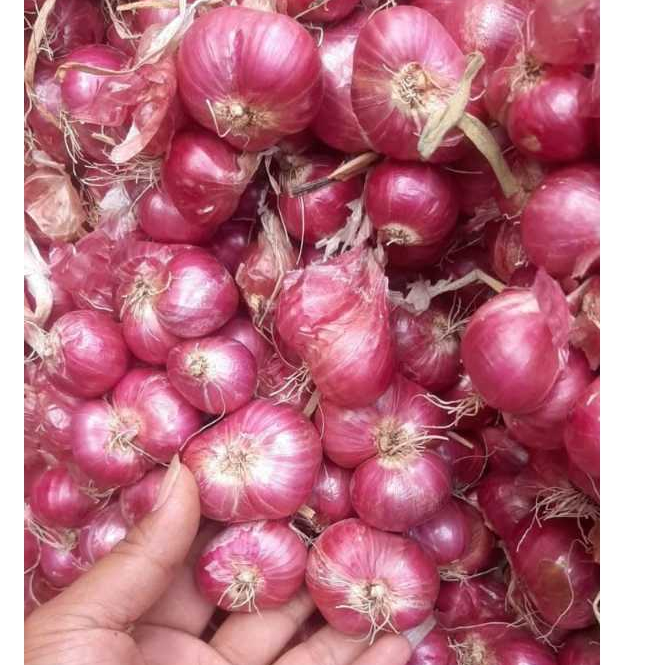 

500gr dan 1000gr bawang merah kering kualitas terjamin