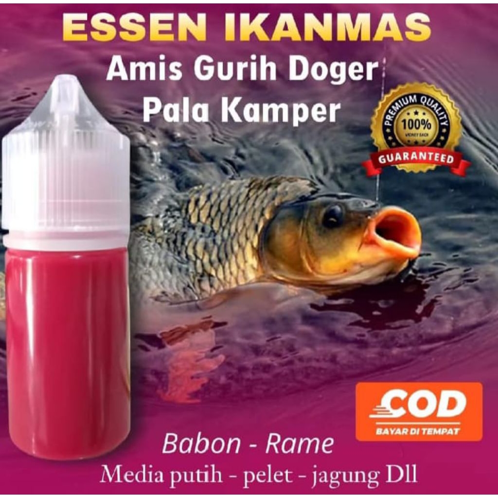 Essen ikan mas paling gacor aroma doger pala kamper  Essen ikan mas amis wangi, esen ikan mas induka