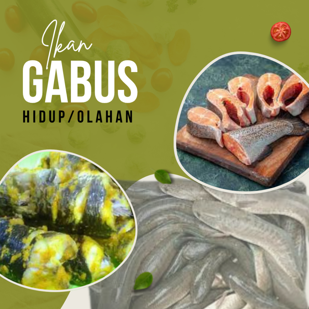 

Ikan Gabus Segar / Ikan Gabus Marinasi Bumbu Kuning