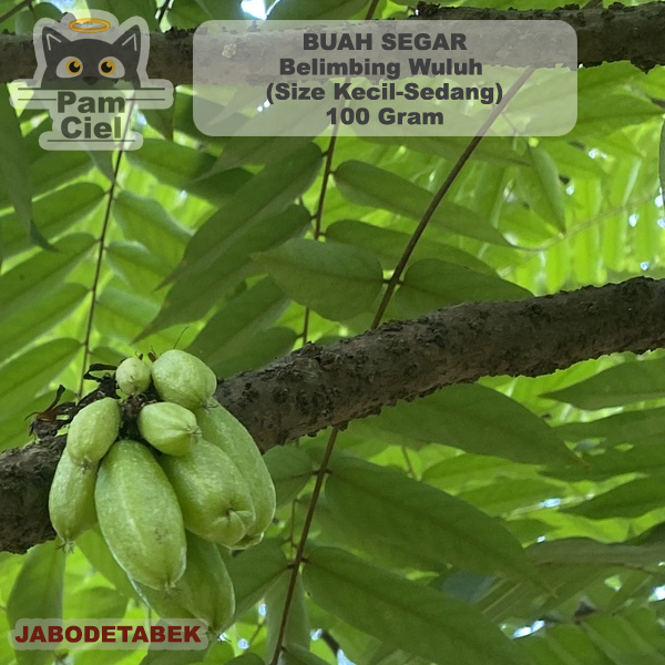 

Buah Belimbing Wuluh Segar Khusus JABODETABEK Per 100 Gram