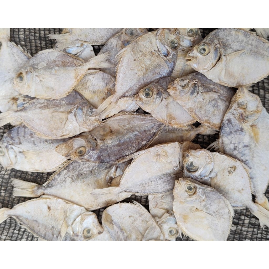 

Ikan Asin Petek Kering Murah / Ikan Laut Asin Kering Asli