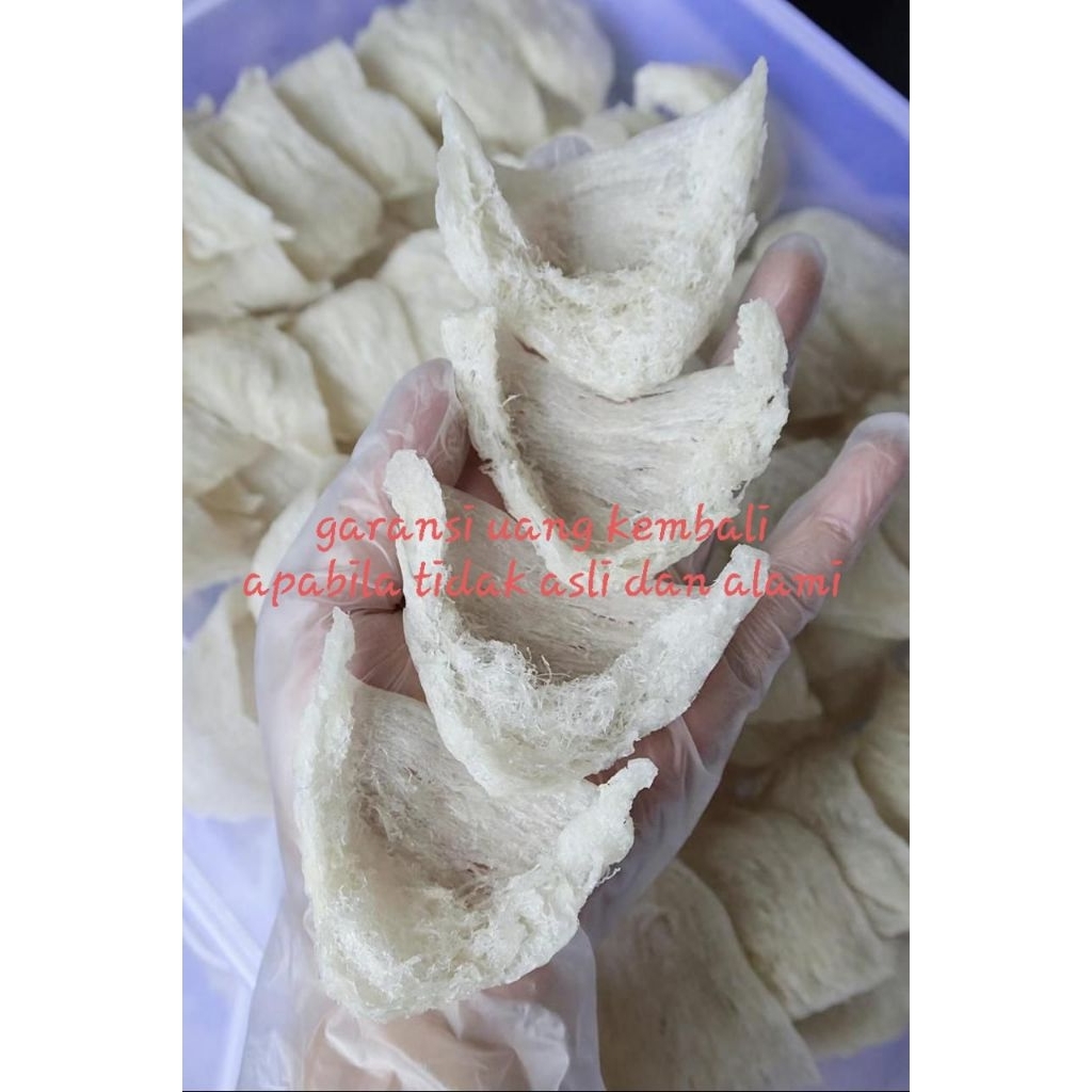 

Sarang Burung Walet Bersih Segitiga Sudut Natural 100 Gram