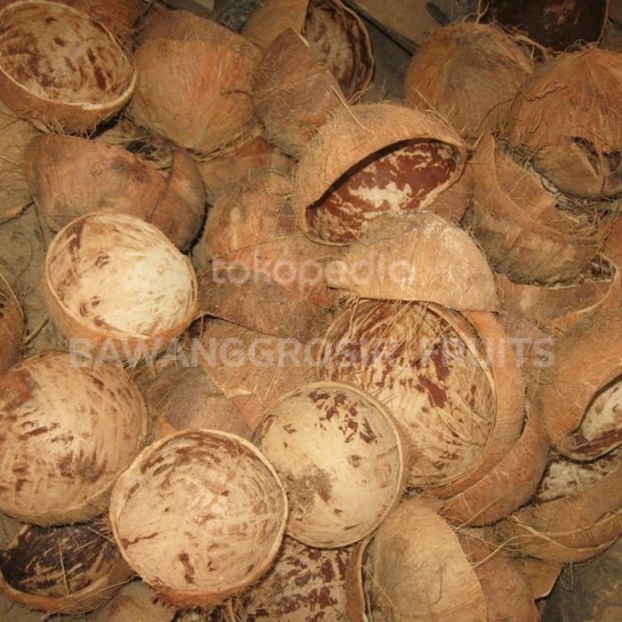 Tempurung kelapa | Batok kelapa