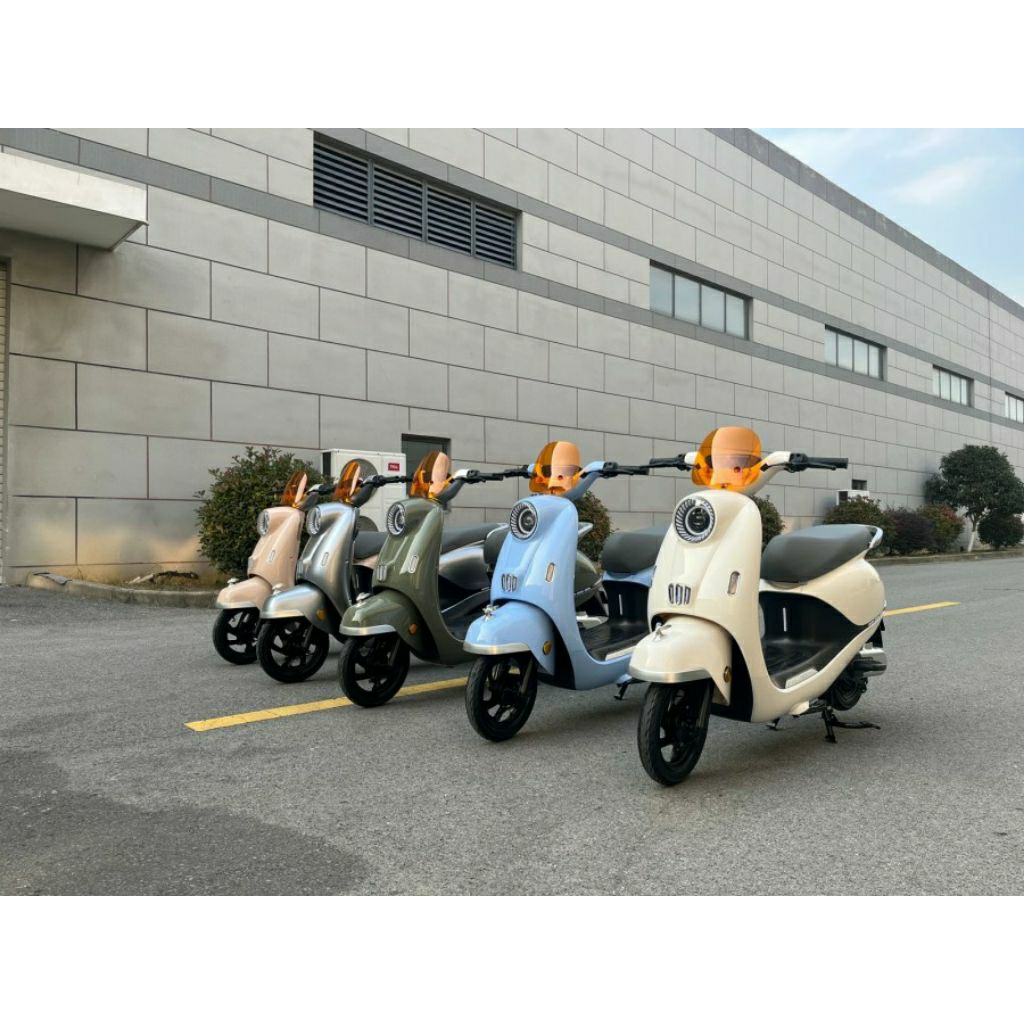 SEPEDA LISTRIK U-WINFLY T65L