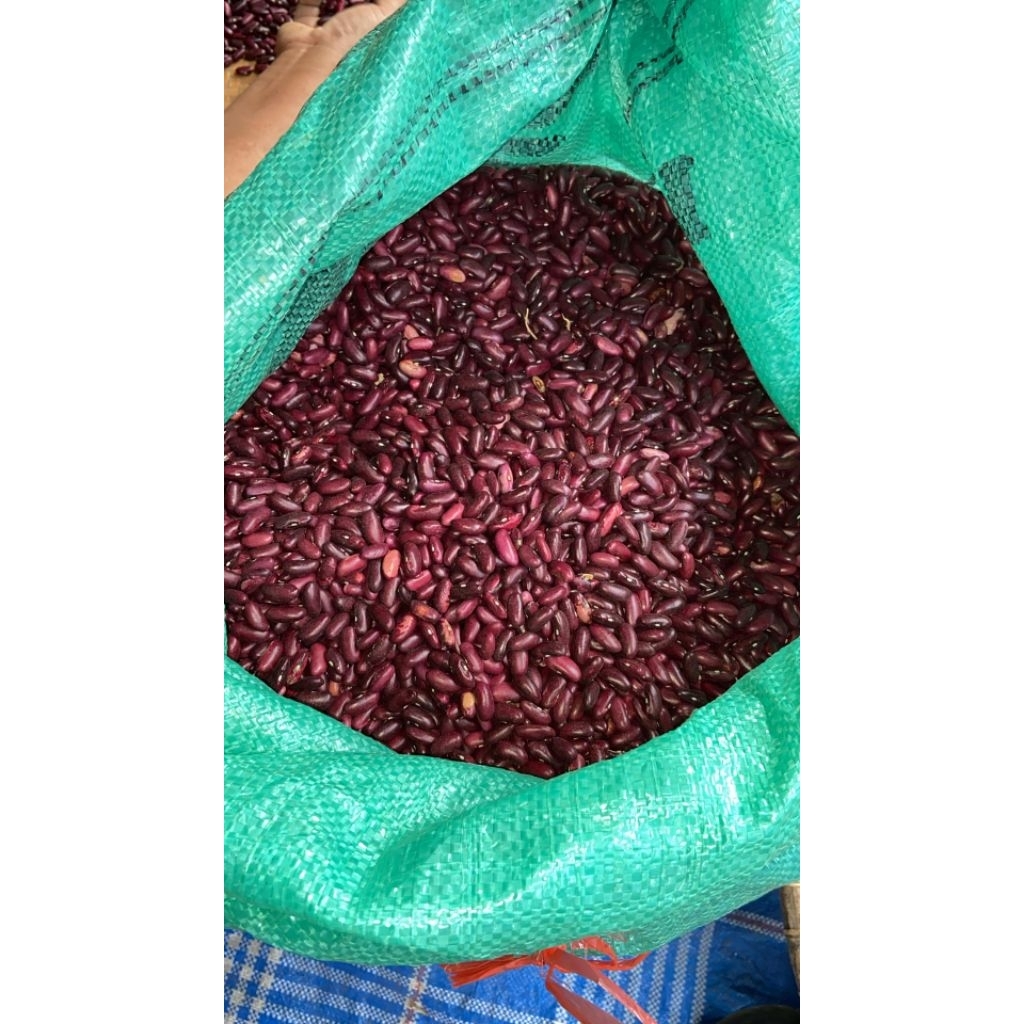 

Kacang Merah /Campe Kemasan 1 Kg