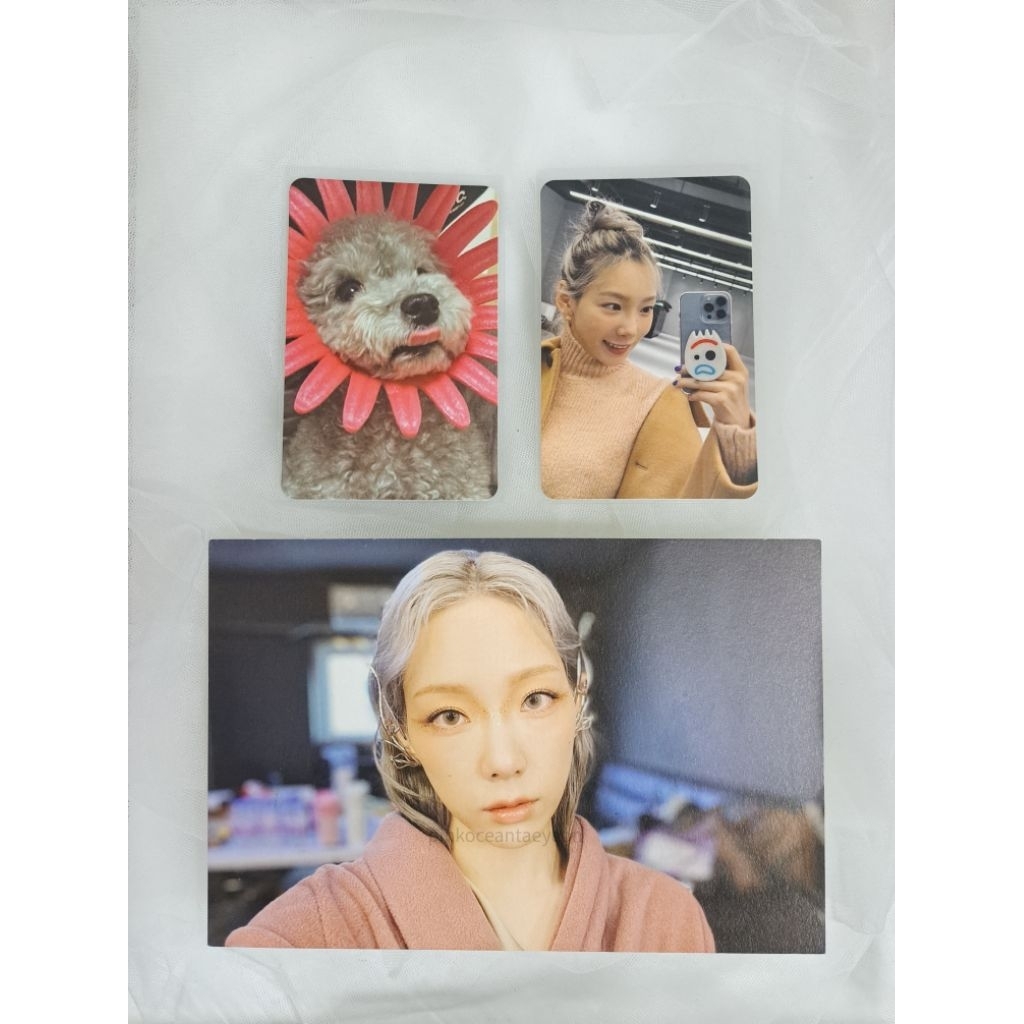 SNSD Girls Generation Taeyeon Photocard INVU Zero