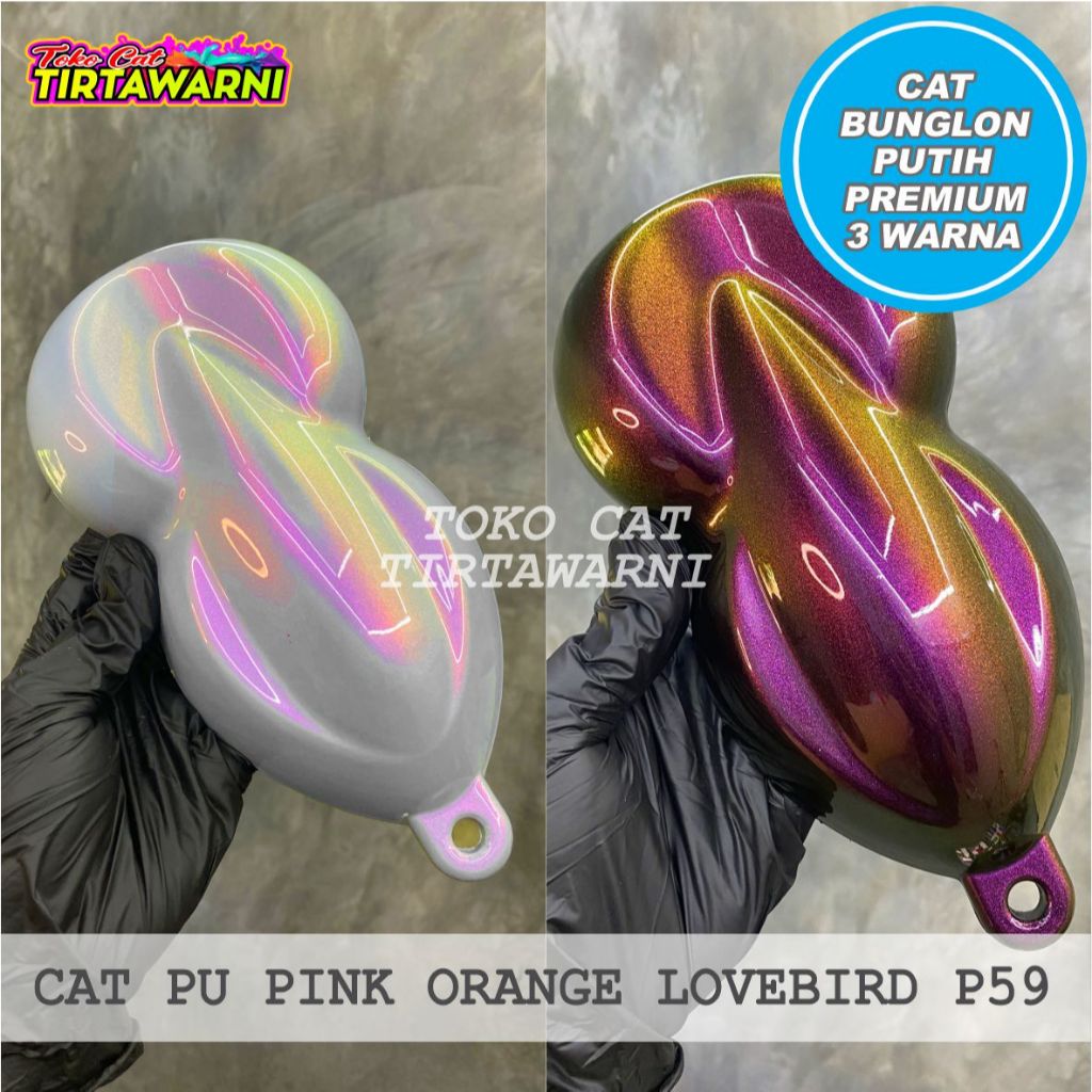 CAT BUNGLON PUTIH PREMIUM PINK ORANGE LOVEBIRD P59