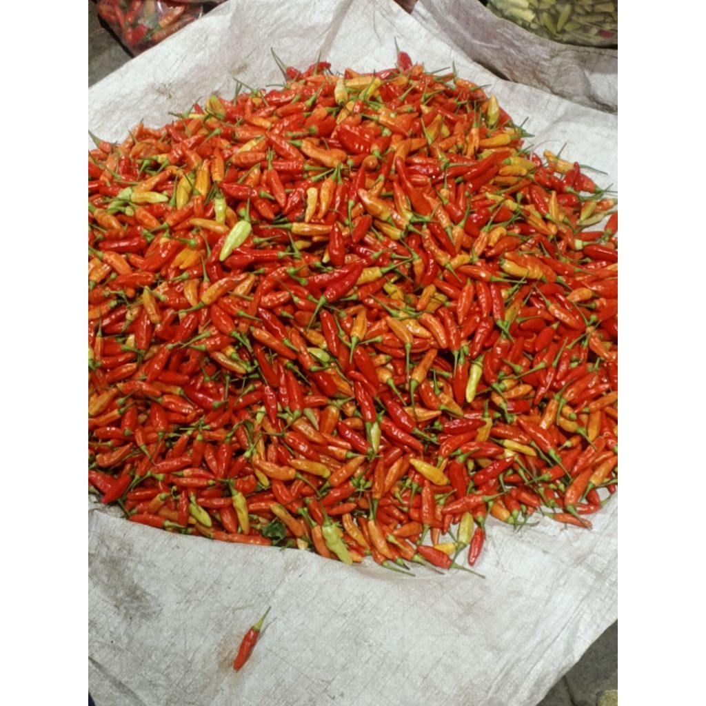 

Cabe Rawit Ori 250 Gram