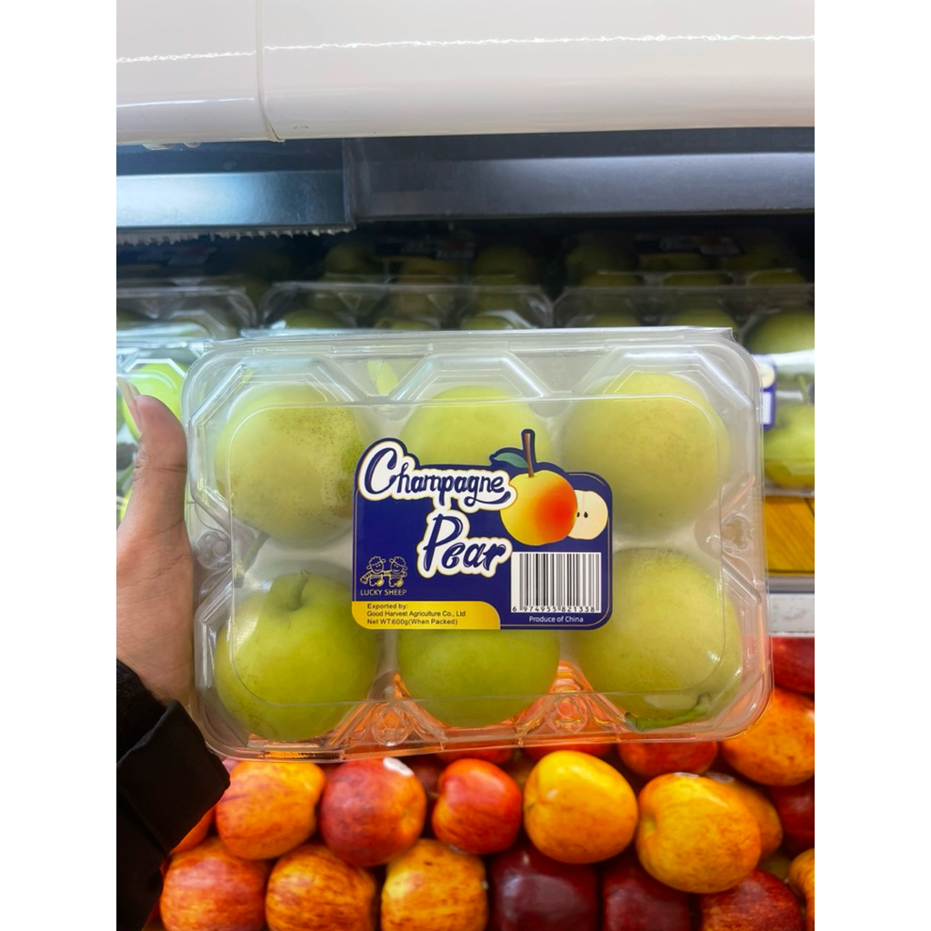 

Buah Pear Champagne RRC | Buah Pear Import Fresh | Pck