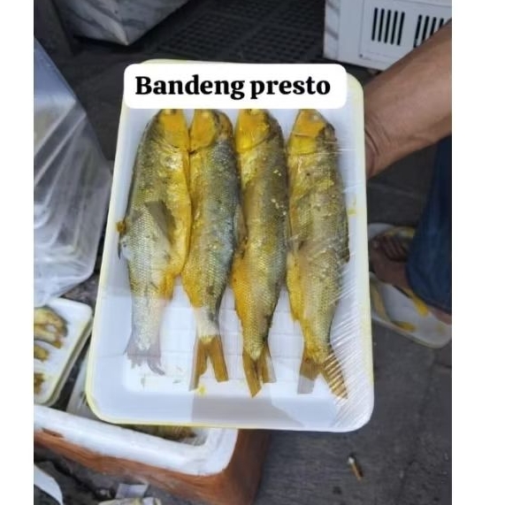 

BANDENG PRESTO