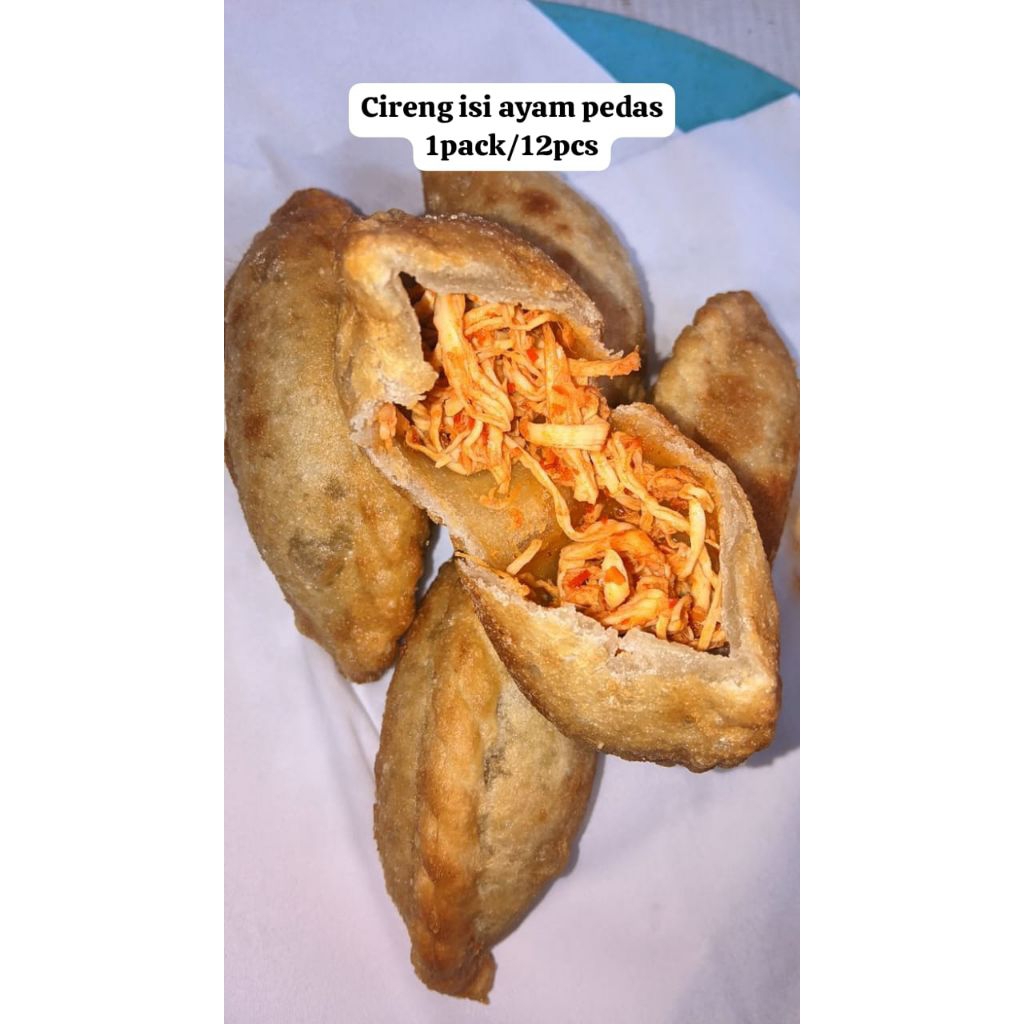

Promo cireng mercon isi ayam suwir | keju | hati | usus isi 12 pcs