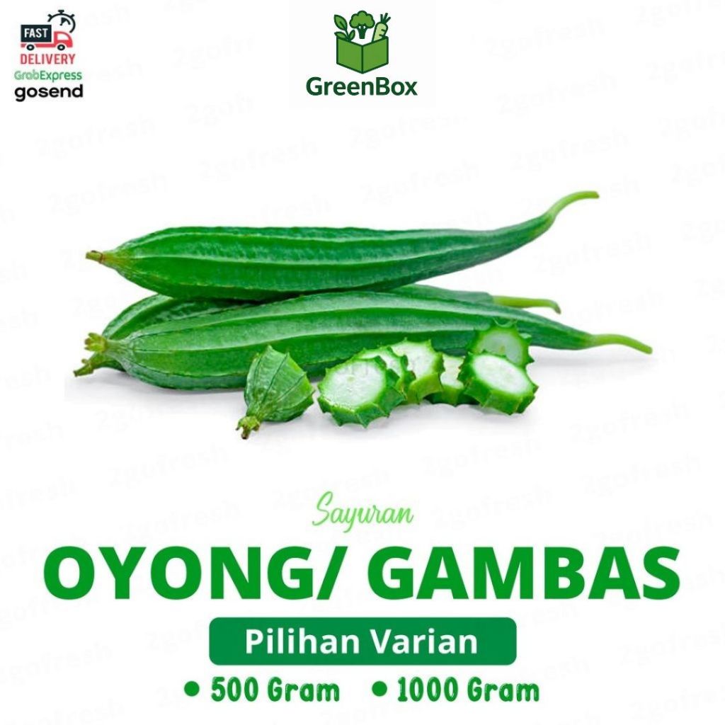 

Sayur Oyong/ Gambas Fresh - Sayuran / Segar