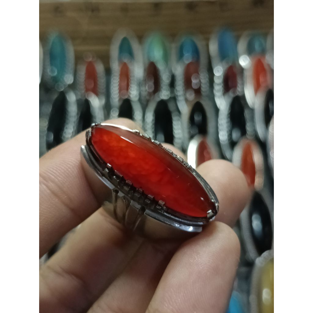 

pandan merah sisik berok