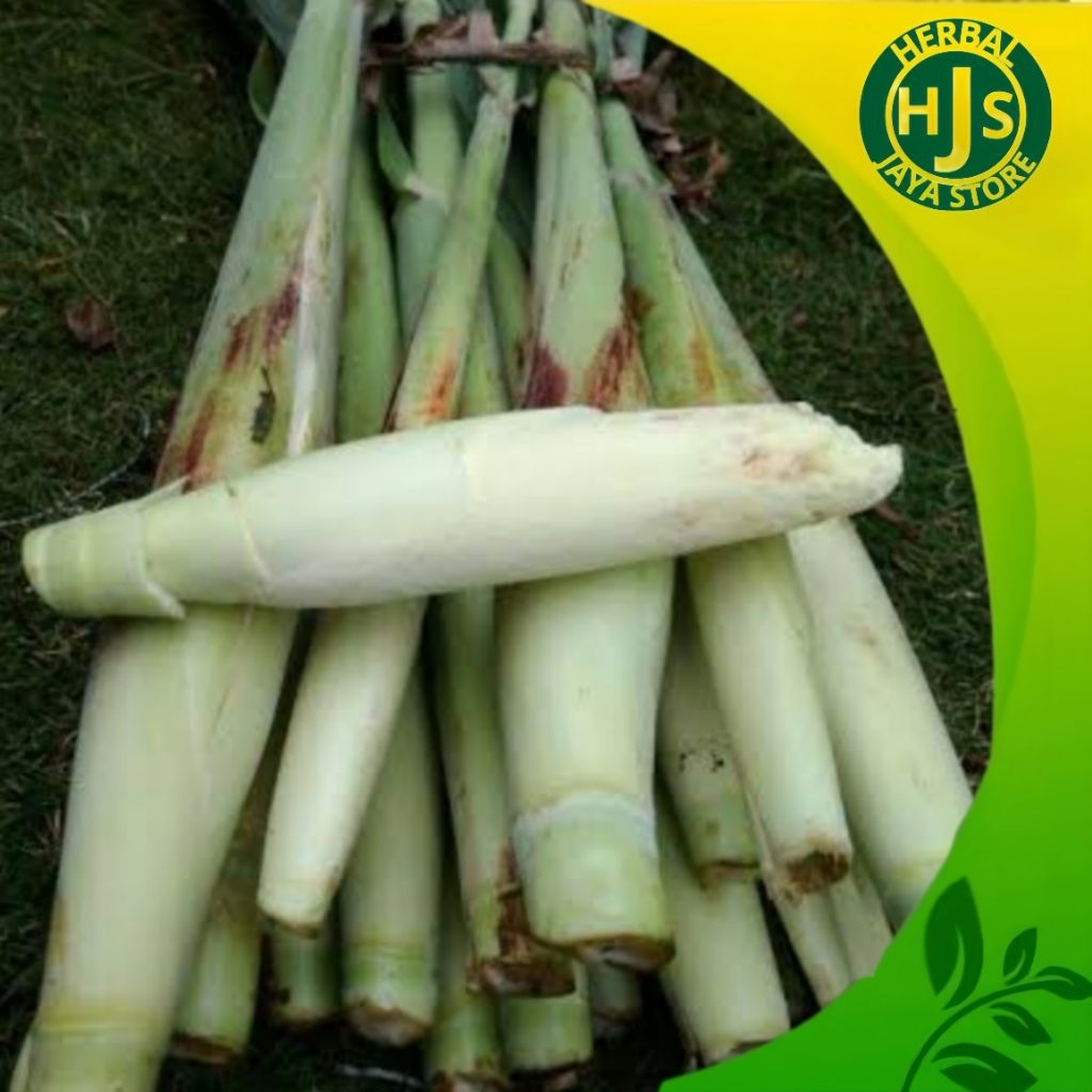 

Terubuk / Trubuk / Terubus / Telor Tebu / Endog Tiwu Per Ikat