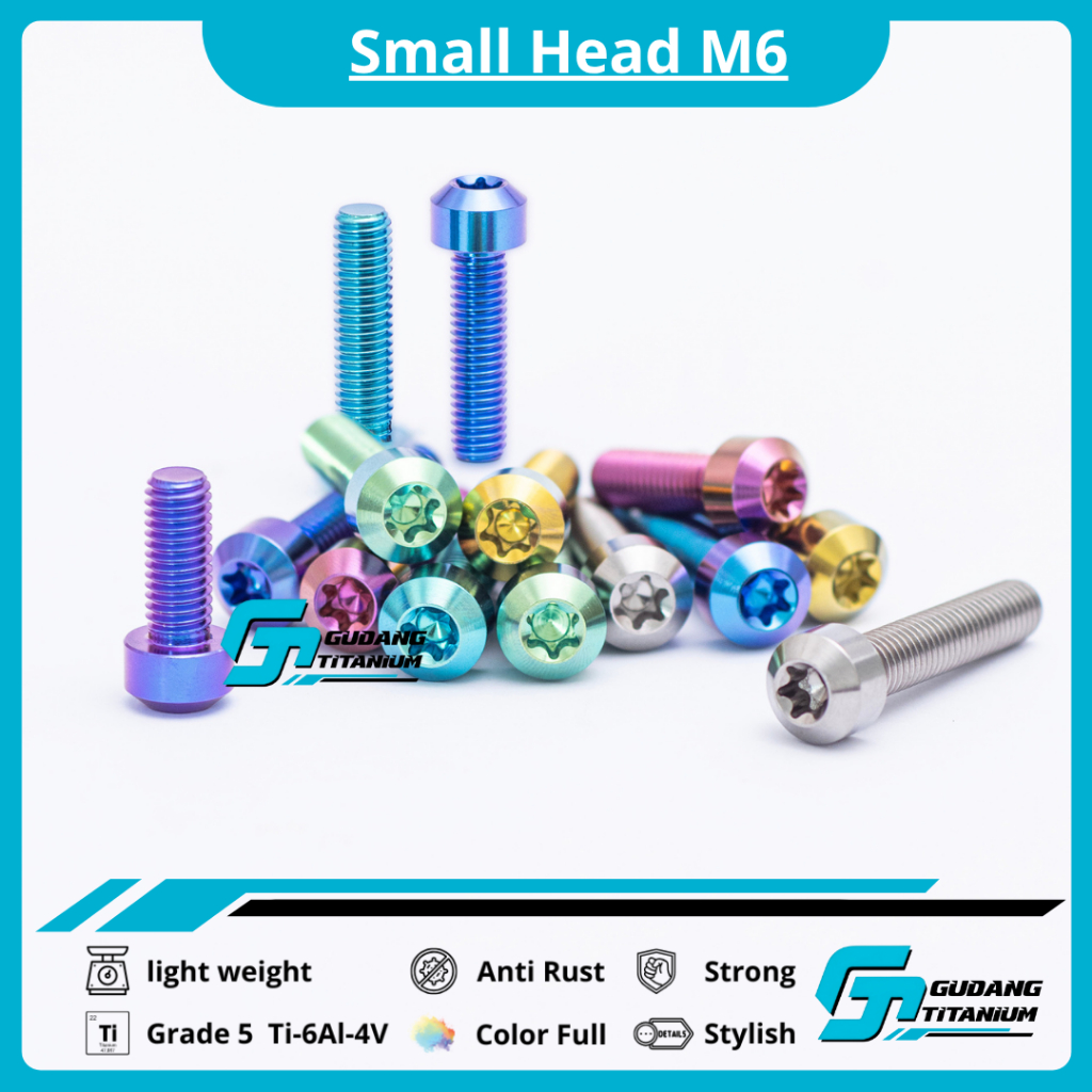 Baut Titanium Small Head Grade 5 ukuran m6  (Drat 10) Bahan Titanium Ti-6Al-4V Tahan Korosi