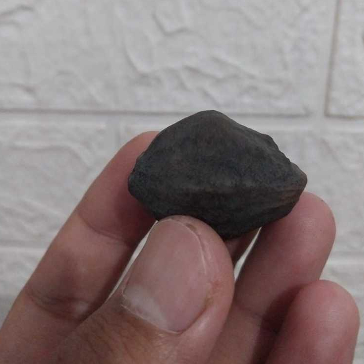 MUNCANG ADU WADAS (ANAK)