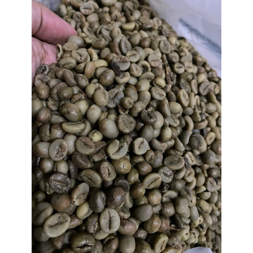 

Greanbean Robusta Temanggung