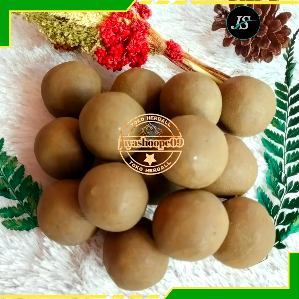 

Ampo Tanah Liat (15 BUTIR BONUA 1) Untuk Merebus Daun Pepaya Agar Tidak Pahit / Tanah Lempung