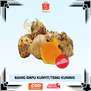 

Biang/Empu Kunir Segar Asli | Cocok untuk Bibit, Bahan Jamu & Kunyit Asam