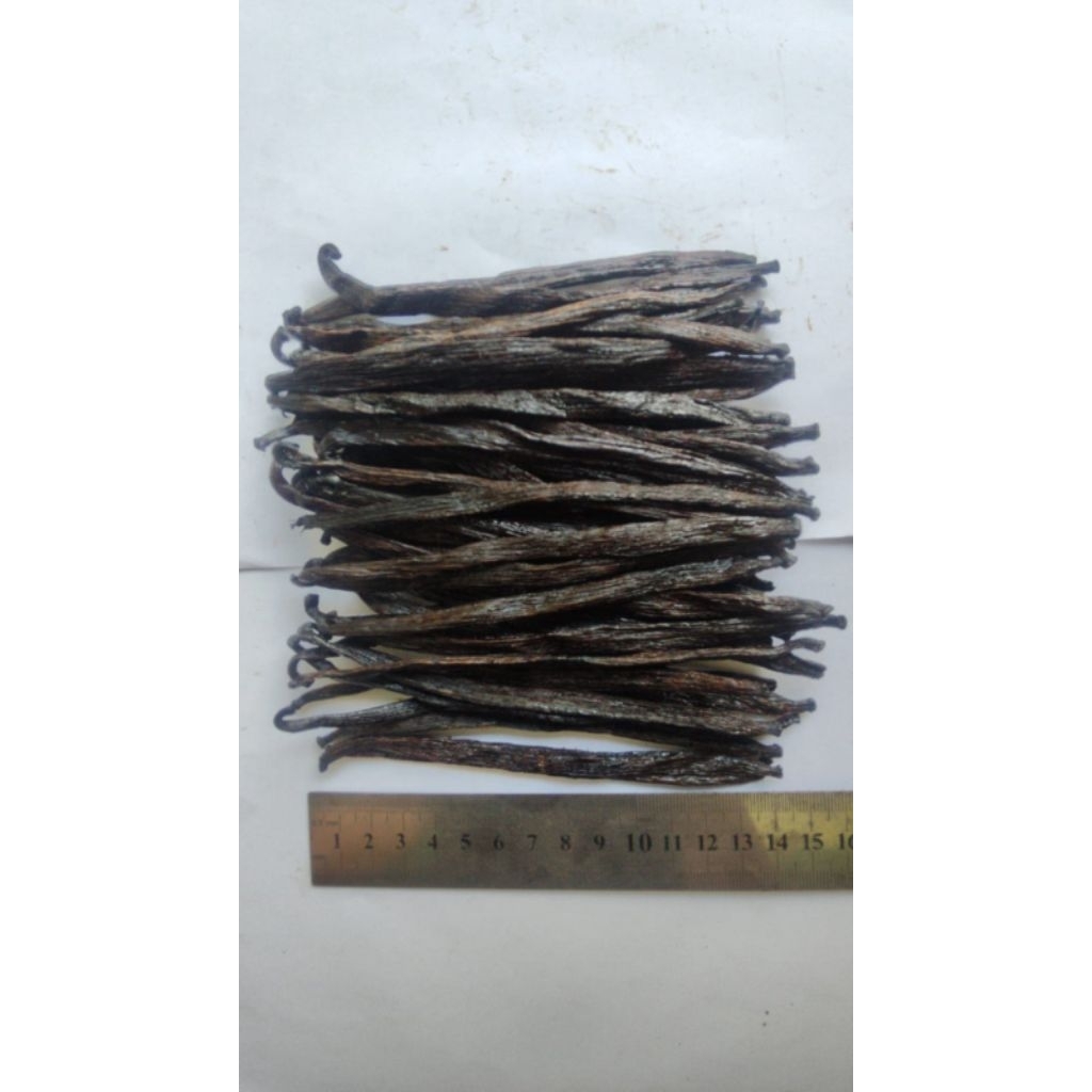 

Vanili Tahitian Gourmet 14-15 cm