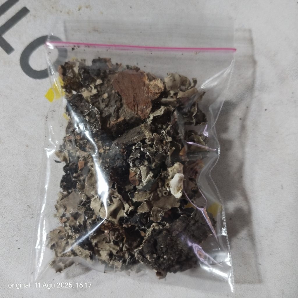 

Rempah Arab dari mekah