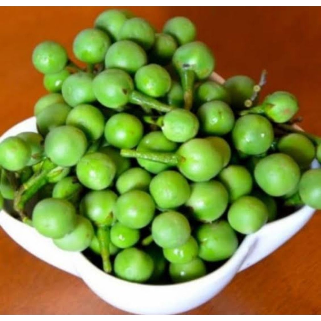 

Buah tekokak, cepokak segar(250gram)