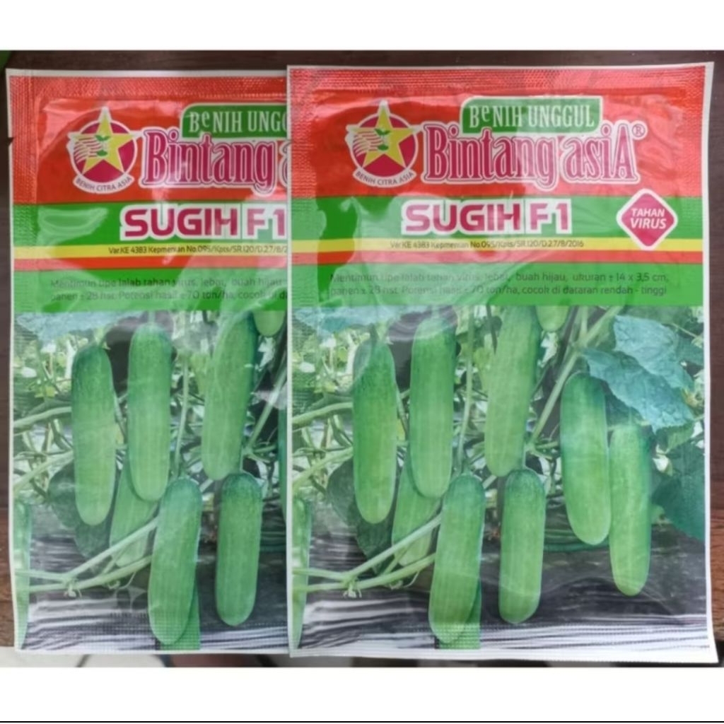

bibit timun sugih f1 bintang asia original