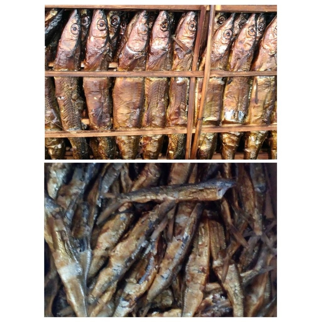 

Ikan Roa Asap Asli Manado per Pcs