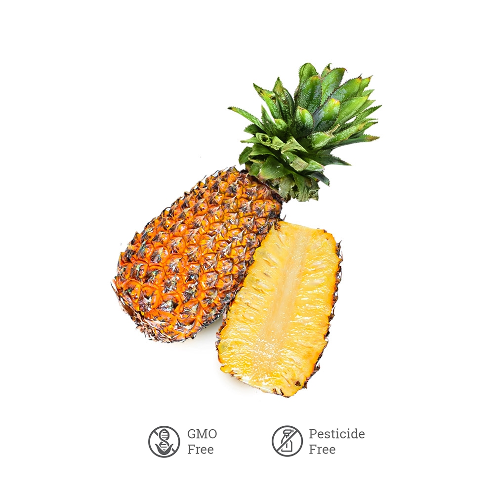 

Nanas Palembang TBSM