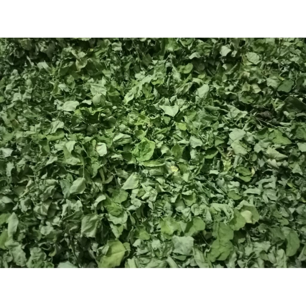 

Daun Kelor kering/daun moringa oleifera 1kg