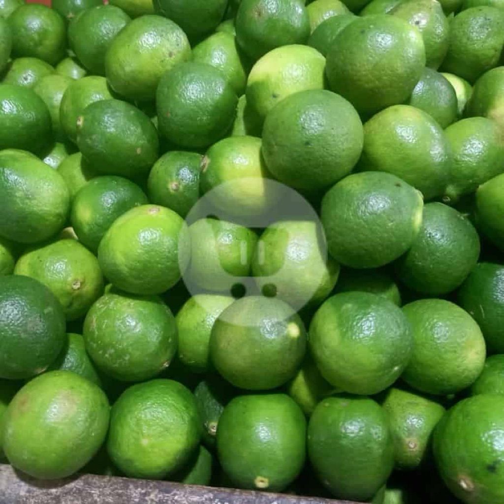 

Jeruk Nipis | & Daun Jeruk Nipis | 250gr