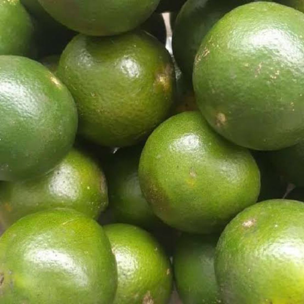 

SW- 1KG JERUK Siem manis bisa juga untuk jus jeruk