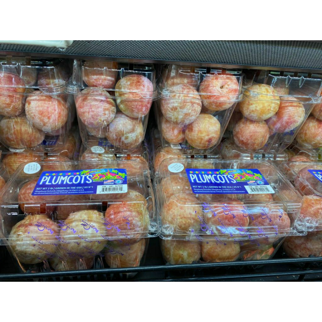 

buah import plout dappel dandy