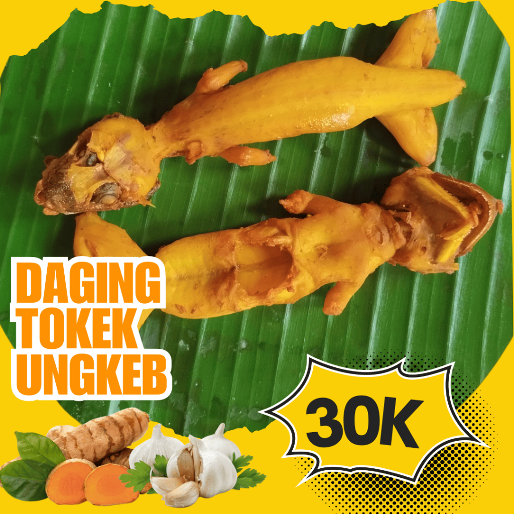 

Daging Tokek Untuk Gatal/Exim/Penyakit Kulit ASMA AIDS Vakum Bumbu Kuning isi 2 ekor