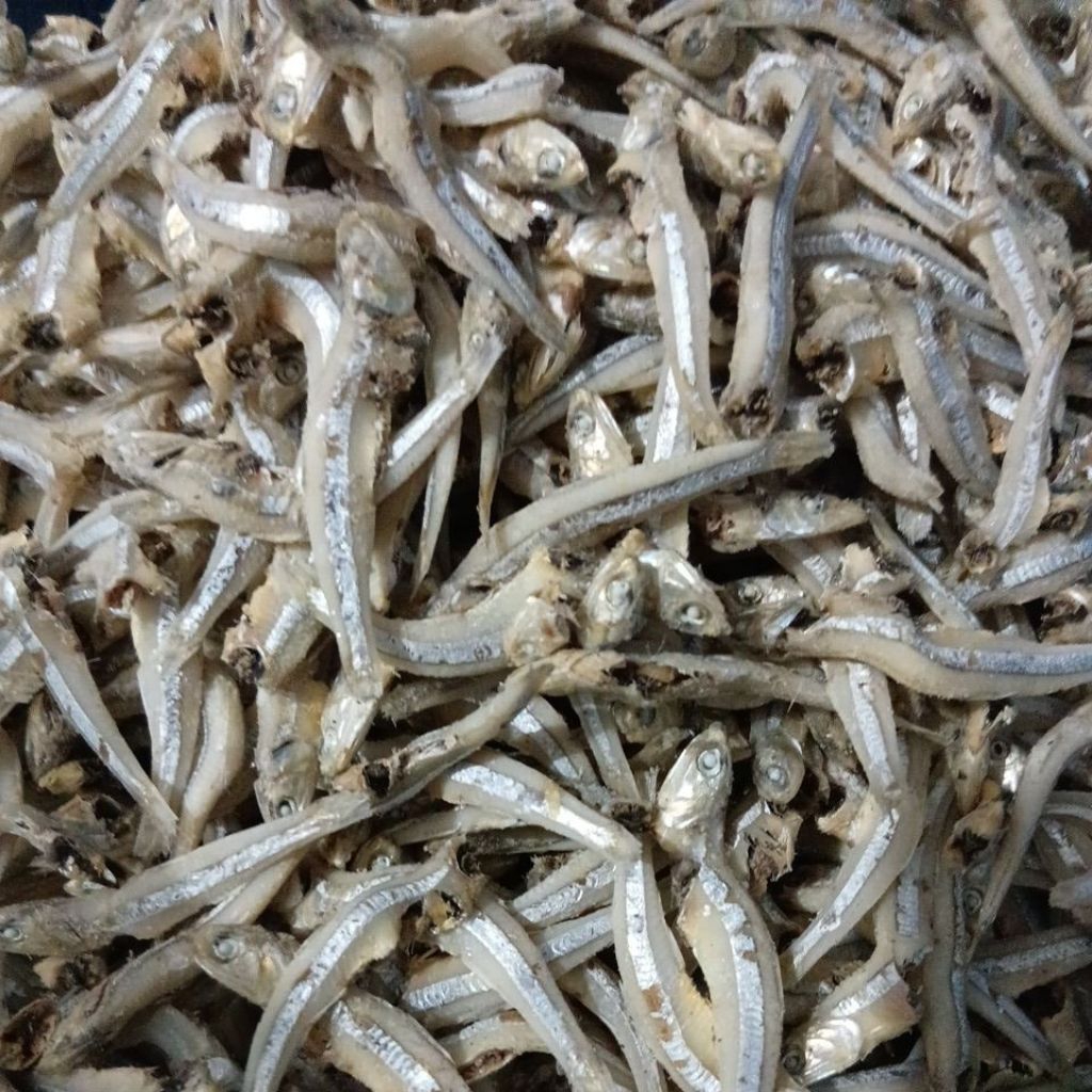 

ikan teri medan jengki