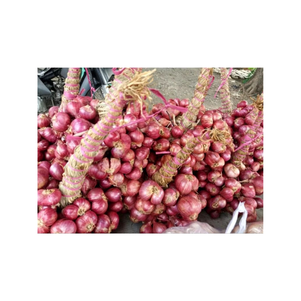 

Bawang merah dongkolan 1/2 kg Probolinggo