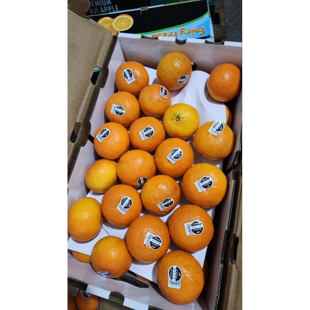 

Buah jeruk wogan royal honey manis banyak air premium dus -+ 9 kg