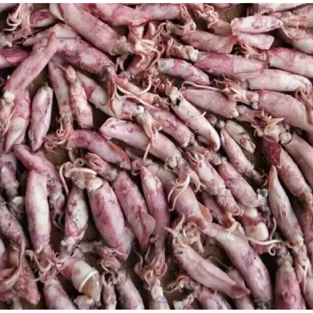 

ikan asin cumi kering murah