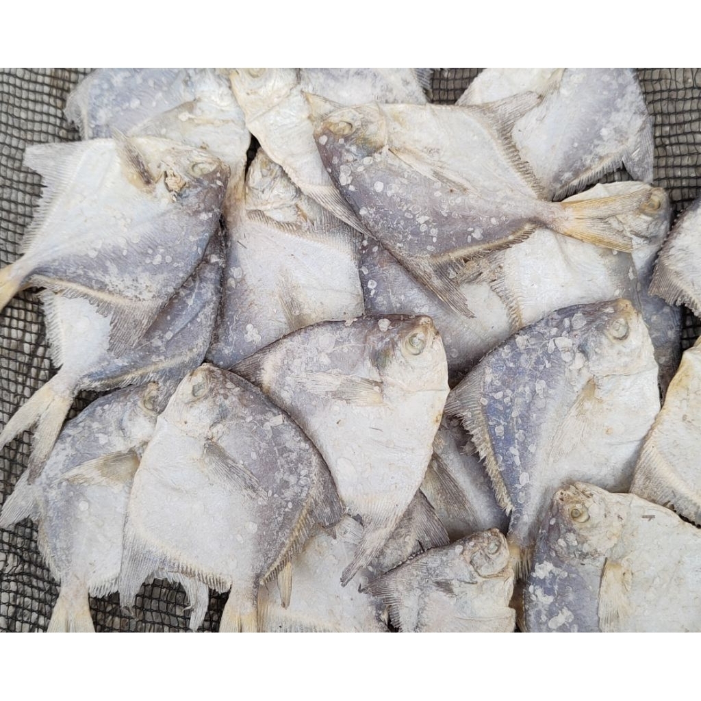 

Ikan Asin Bawal Putih Kering Murah / Ikan Asin Laut Gurih Lezat