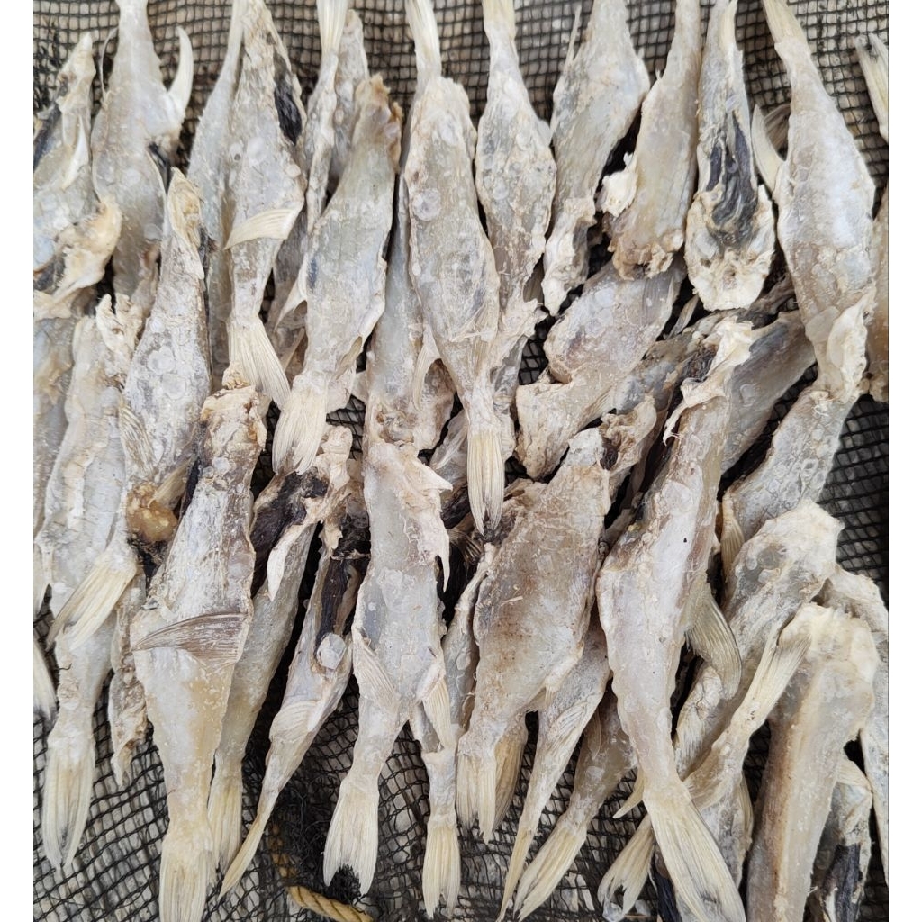 

Ikan Asin Gedangan Kering Murah / Ikan Laut Asin Lezat