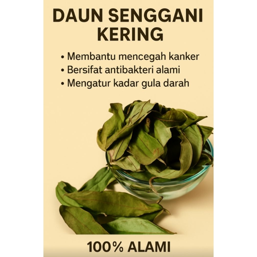 

Daun Senggani Kering - Herbal Alami Asli