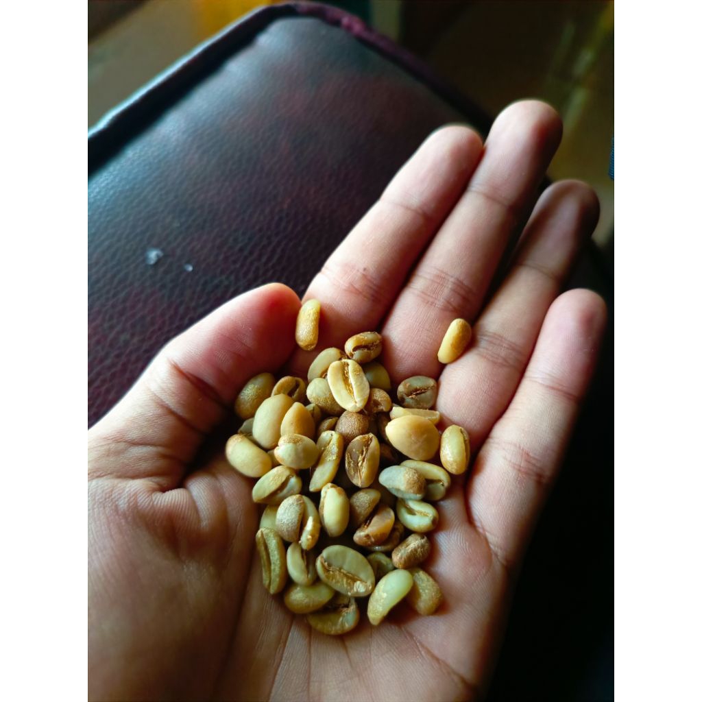 

Kopi Arabika Natural Anaerob