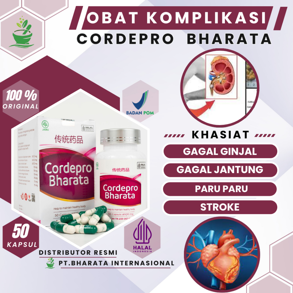 Obat Ginjal Premium Cordepro Bharata - Obat Gagal Ginjal Prostat Batu Ginjal Empedu Radang Ginjal