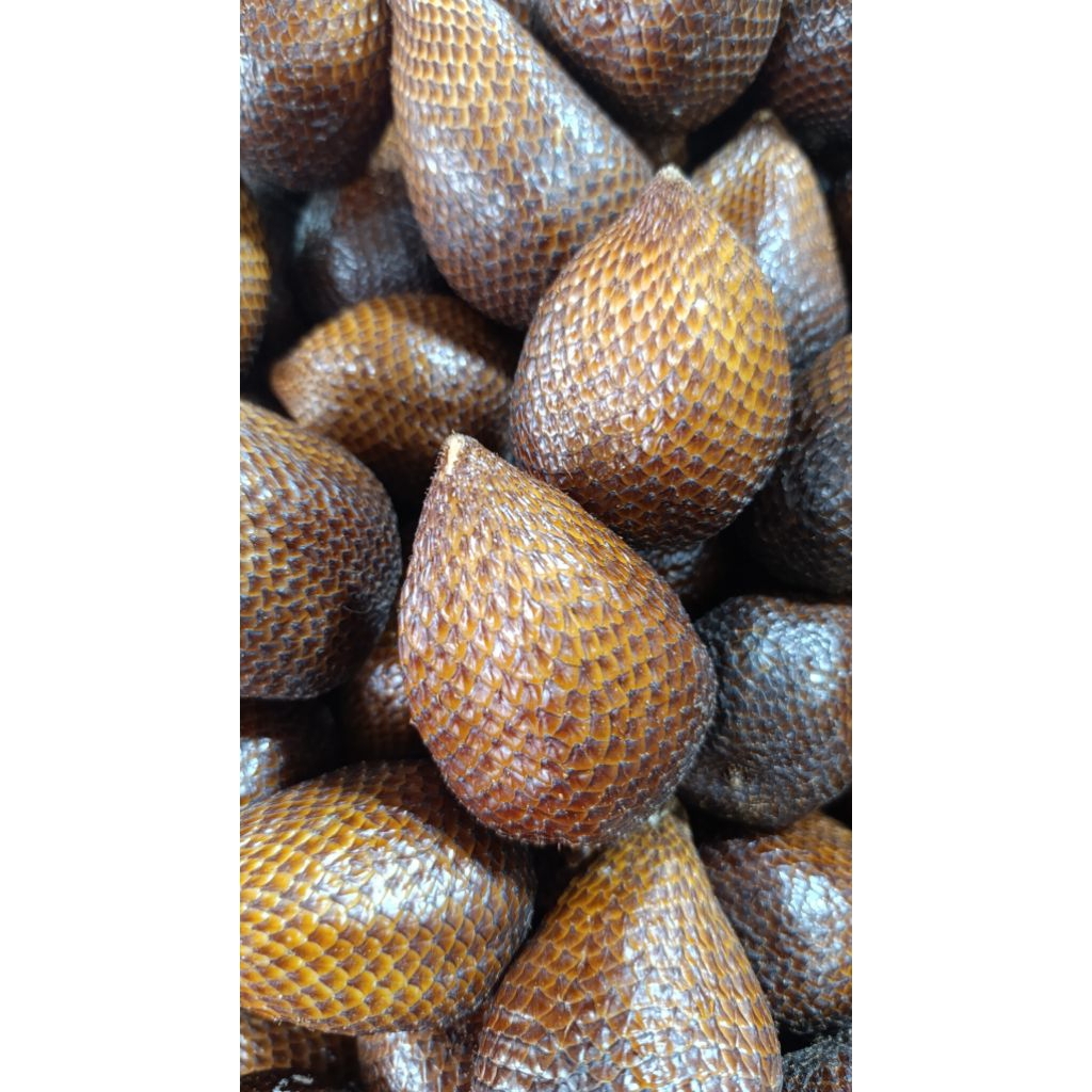 

kirim instant buah salak pondoh 1kg buah salak manis
