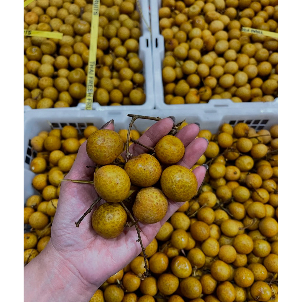 Lengkeng Bangkok Gold