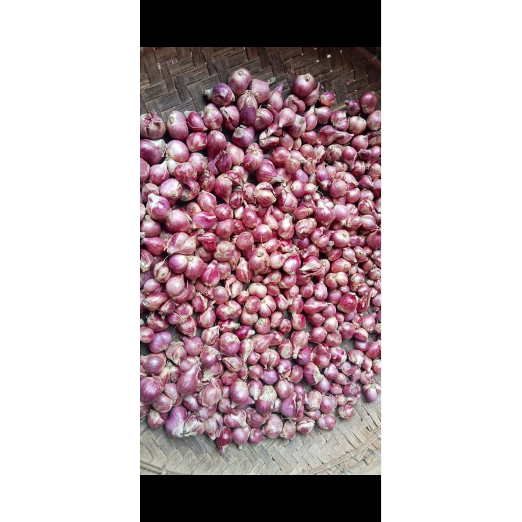 

bawang merah super kwalitas terjamin 500gr