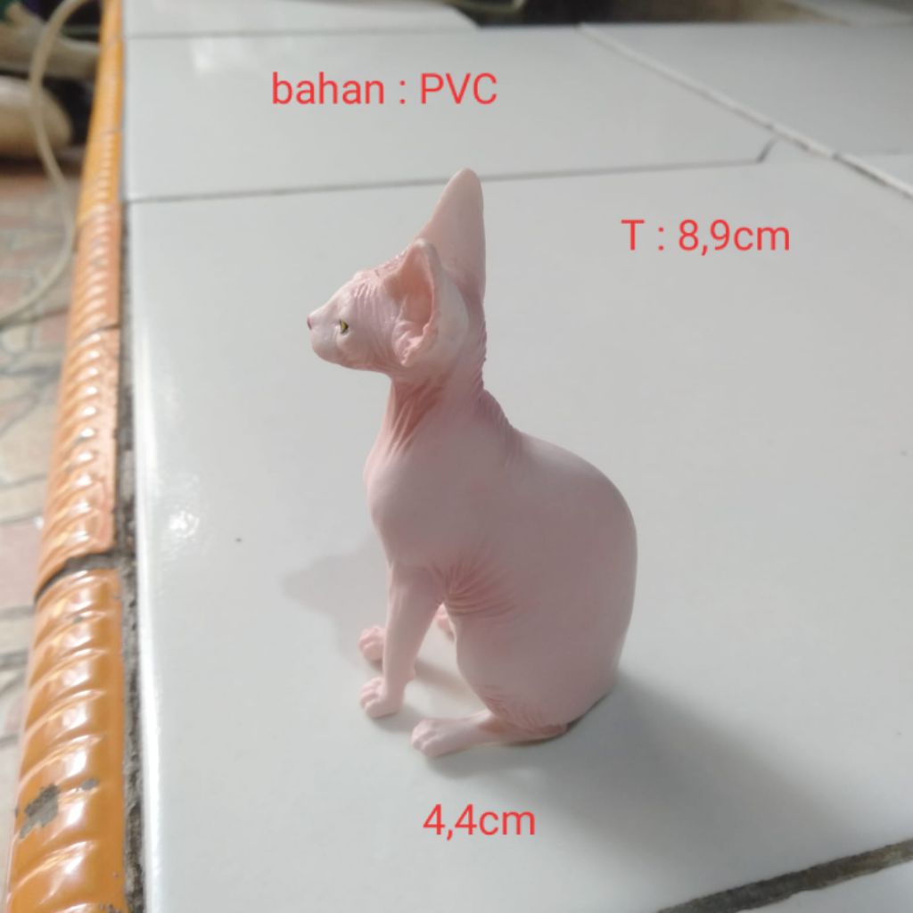 Miniatur Hairless Cat Miniatur Kucing Tidak Berbulu Kucing Botak