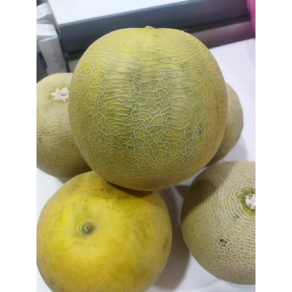 

melon madu