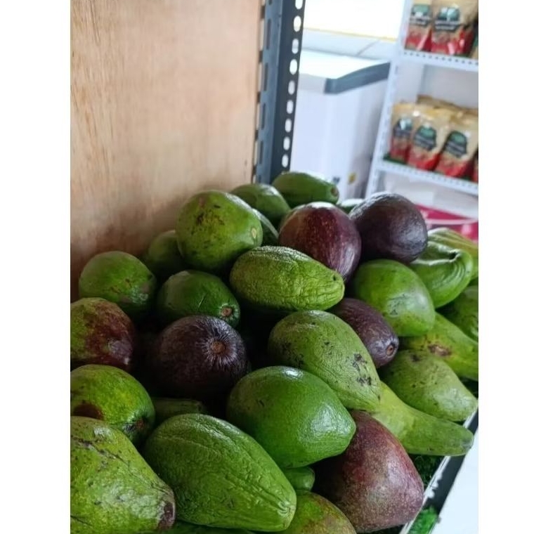 

Aneka Buah Segar Strawberry Alpukat Mentega Plum Merah Anggur Merah Hijau Hitam